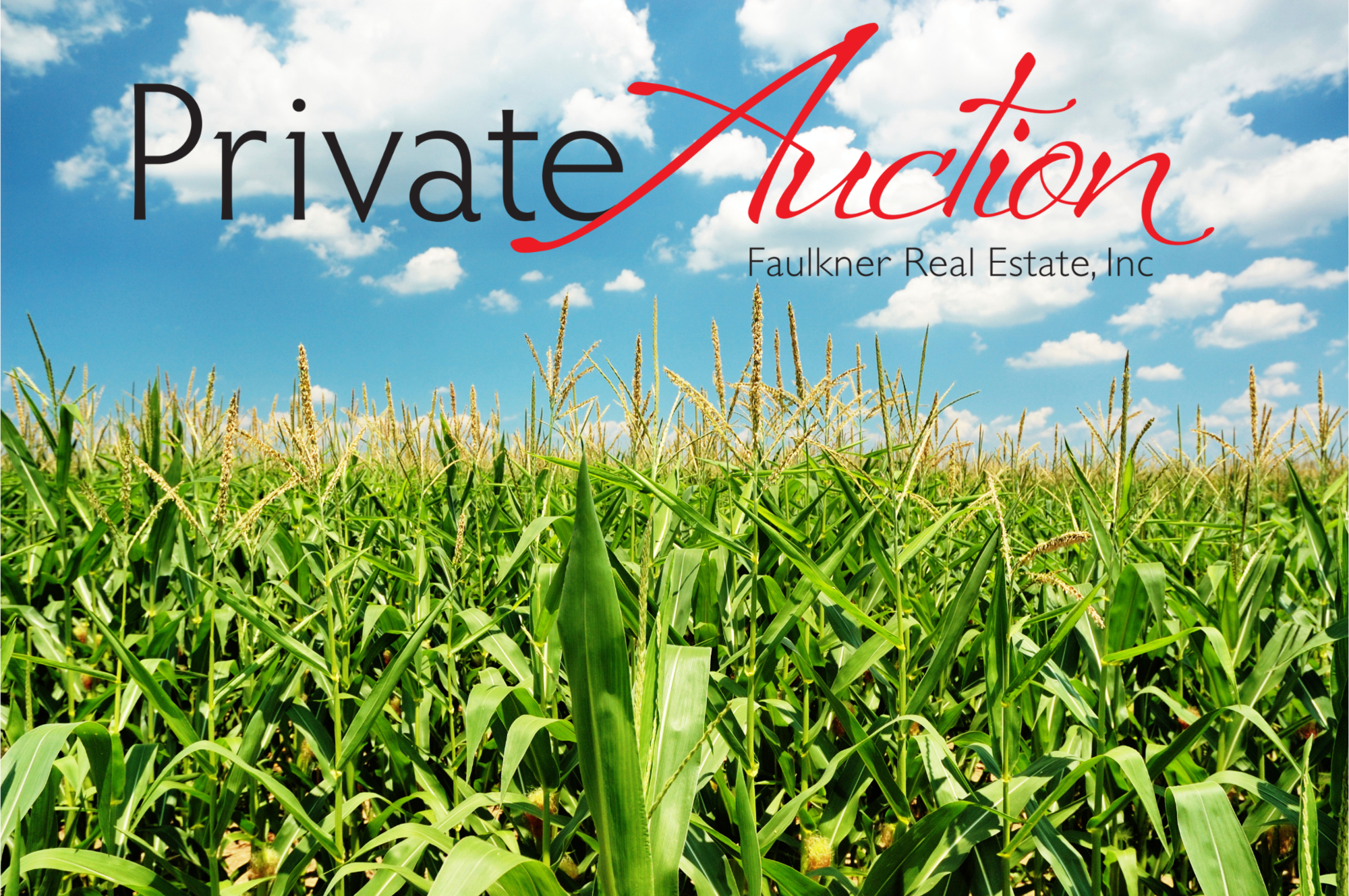 Private Auction Faulkner Real Estate, Inc